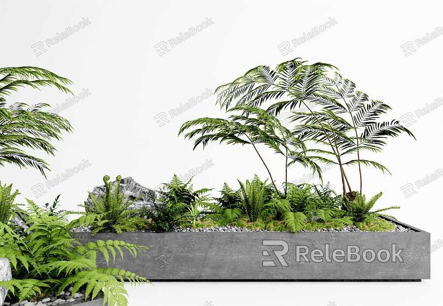 Modern Plant Plant Potted Fern Bonsai model