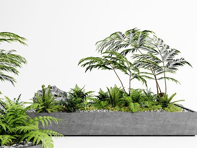 Modern Plant Potted Fern Bonsai model