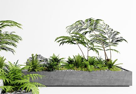 Modern Plant Potted Fern Bonsai 3d model