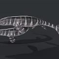 Prehistoric Aquatic Ichthyosaurus With Striped Body Long Snout And Sharp Teeth