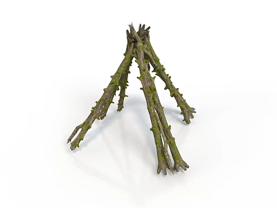 Rustic Triangular Campfire Structure Built With Natural Twigs In Outdoor Setting 3d model