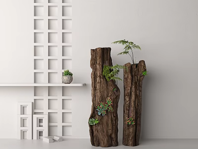 Bonsai Plants In Tree Stump Planter With Ferns Succulents And White Shelf Lattice Wall 3d model