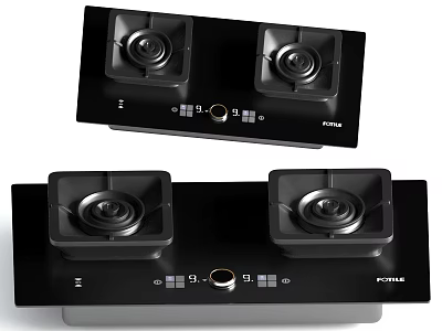 FOTILE Black Gas Stove With Double Burners Control Panel And Modern Design 3d model