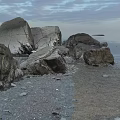 Natural Beach Setting With Large Rocks And Wooden Logs Along Sea Shore