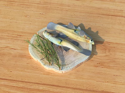 Small Aquatic Fish Placed on Circular Wooden Tray With Green Aquatic Plants 3d model