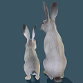 Two White Rabbits Adult and Baby with Soft Fur on Blue Background
