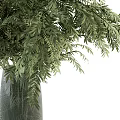 Lush Green Ferns Arranged In Modern Glass Vase For Home Decor