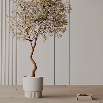 Modern Potted Plant 3d model