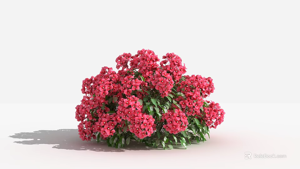 Vibrant Pink Flowers Blooming With Lush Green Leaves In Garden Bush 3d model 