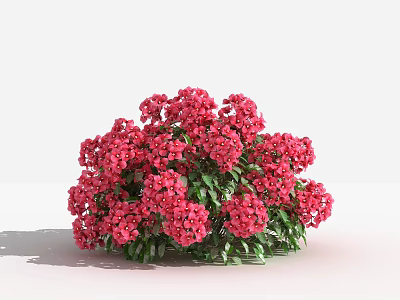 Vibrant Pink Flowers Blooming With Lush Green Leaves In Garden Bush 3d model