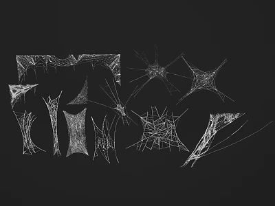 Lizard On Intricate Spider Web With White Lines On Black Background Design 3d model