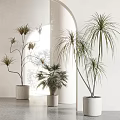 Elegant Indoor Potted Plants With White Planters Archway And Bright Light Decor