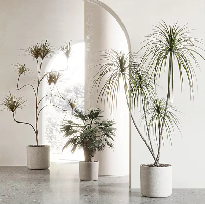 Elegant Indoor Potted Plants With White Planters Archway And Bright Light Decor 3d model