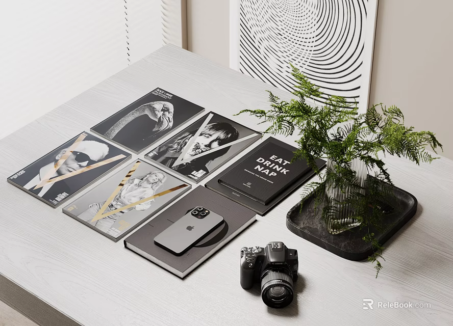 Decorative Ornament Set With Magazines Notebook Camera And Green Plant On Table 3d model 