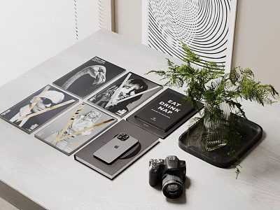 Decorative Ornament Set With Magazines Notebook Camera And Green Plant On Table 3d model
