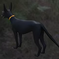Dark Colored Reptile With Yellow Collar Details Standing Outdoors On Grass