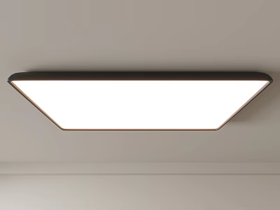 Modern Square Ceiling Light With Black Frame And White Light Surface 3d model