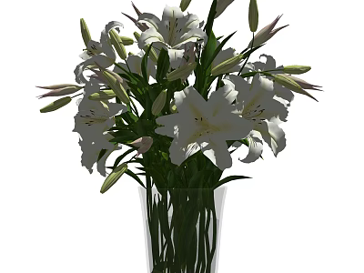 White Lily Flowers In Clear Glass Vase With Fresh Green Leaves Arrangement 3d model