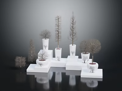 Decorative Trees in White Pots on White Cube Pedestals Against Dark Background Modern 3d model