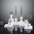 Decorative Trees in White Pots on White Cube Pedestals Against Dark Background Modern