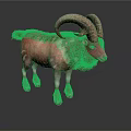 Ram With Large Curved Horns And Brown White Fur Standing On White Background