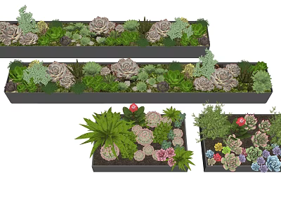 Bonsai Potted Plants With Various Succulents Green Plants And Colorful Flowers In Rectangular Planters 3d model
