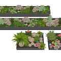 Bonsai Potted Plants With Various Succulents Green Plants And Colorful Flowers In Rectangular Planters