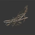 Dried Tree Branches With Slender Twigs And Intertwined Structure On White Background 3d model