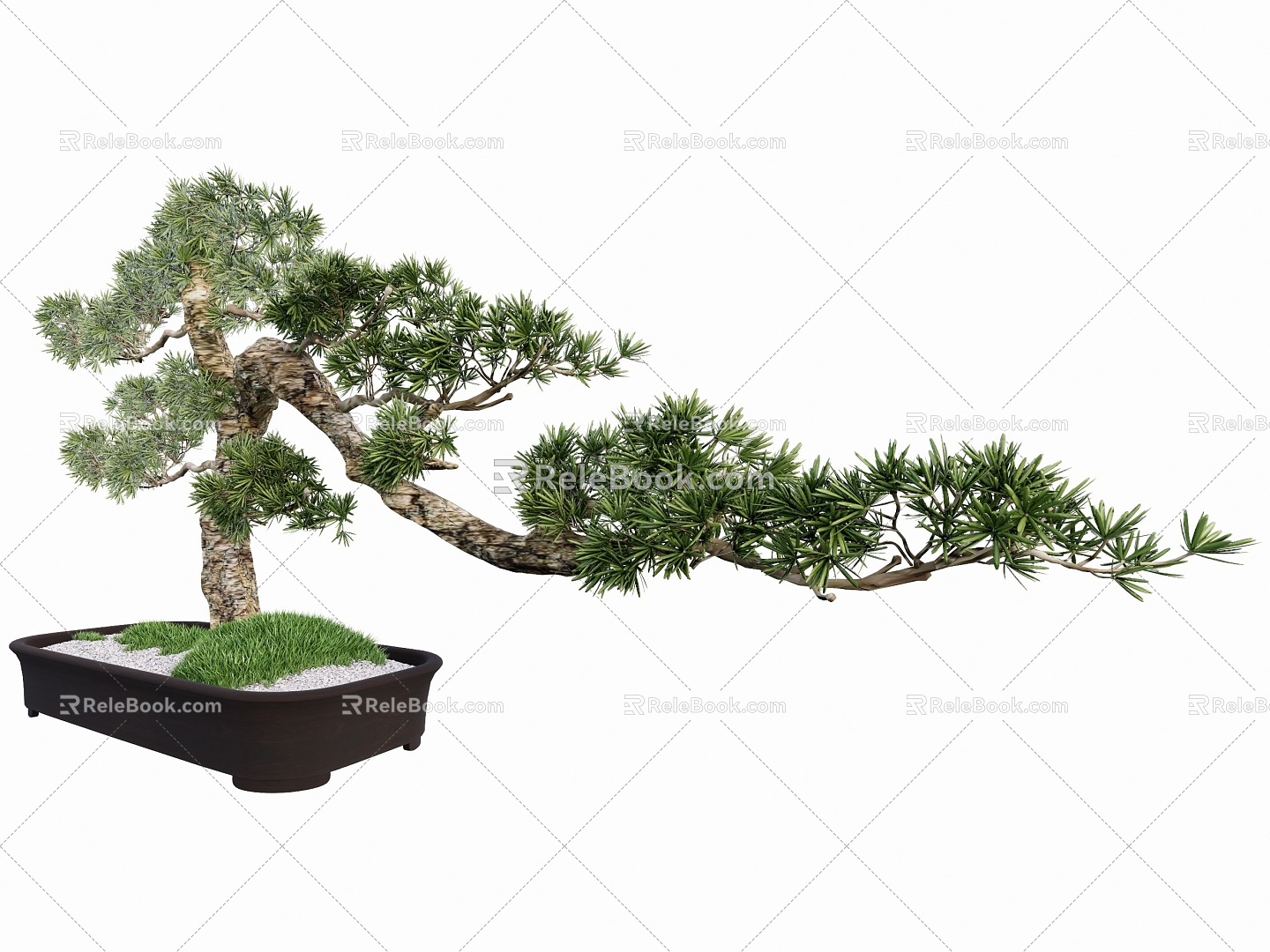 Indoor modeling tree potted plant 3d model