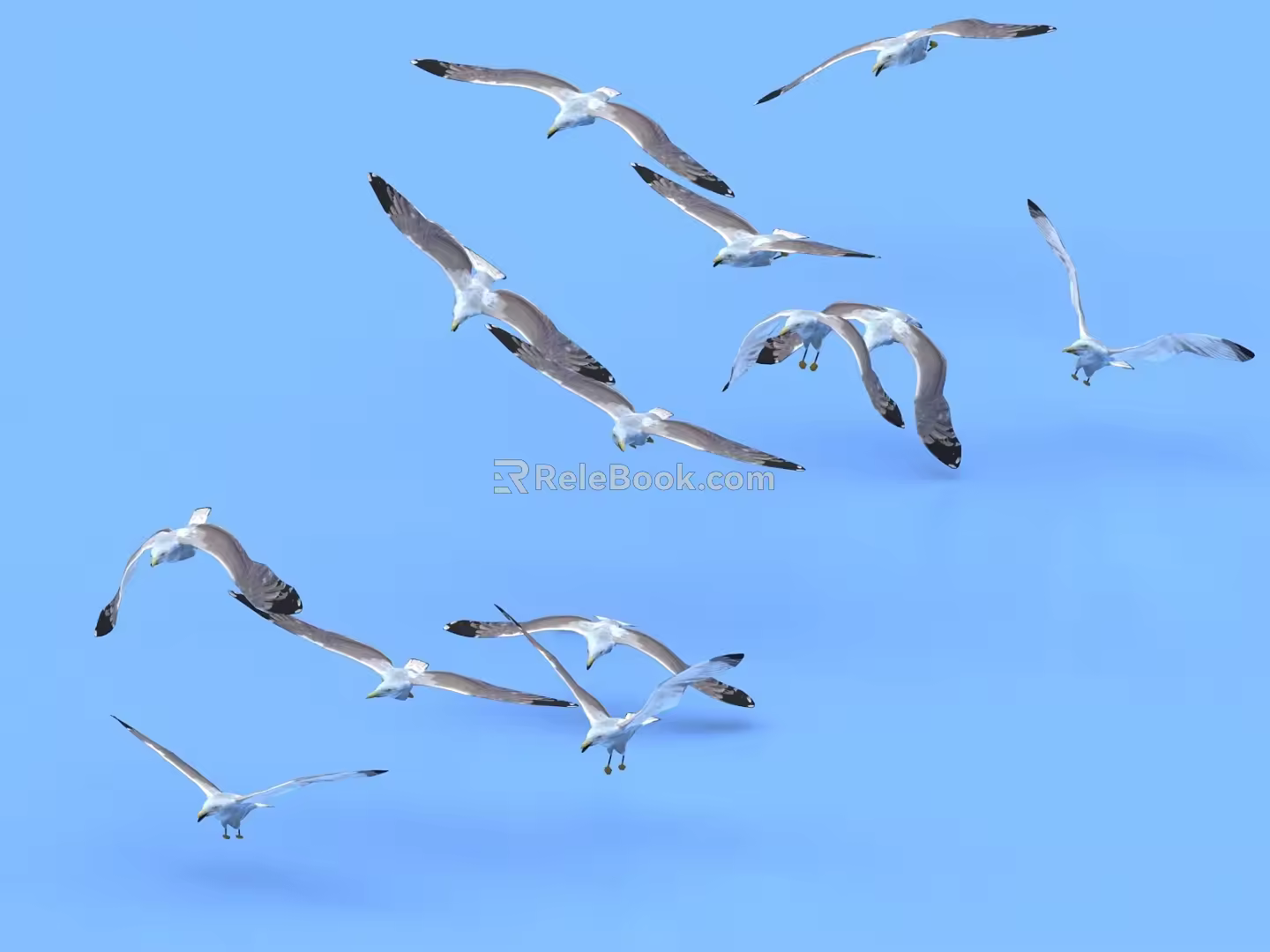 bird flock bird pigeon seagull flock bird 3d model