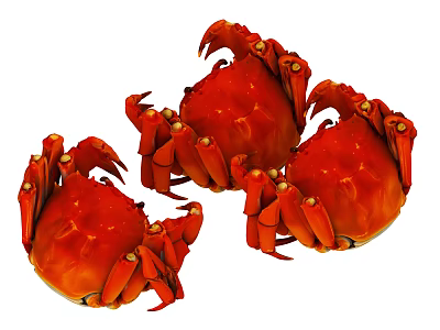 Three Fresh Red Crabs Vibrant And Tasty Aquatic Seafood Delicacy 3d model