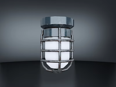 Industrial Style Wall Light With Metal Cage Silver Top And White Glow 3d model