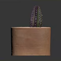 Decorative Terracotta Pot With Purple Cactus And Small Black Stones For Home Decor