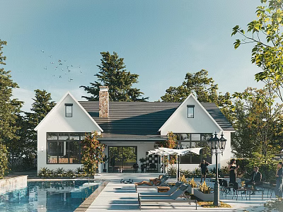 Single Family House With Pool Patio Outdoor Seating And Surrounding Lush Trees 3d model
