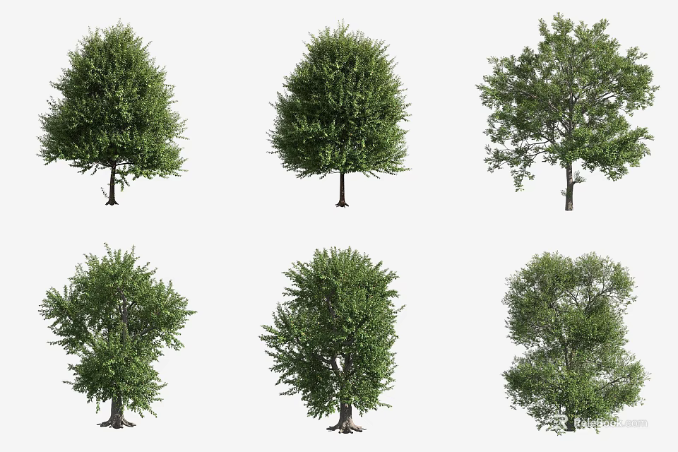 Various Shaped Green Foliage Trees With Different Crown Structures Outdoor 3d model