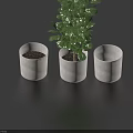 Lush Green Leafy Indoor Plant In White Pot With Two Empty Pots