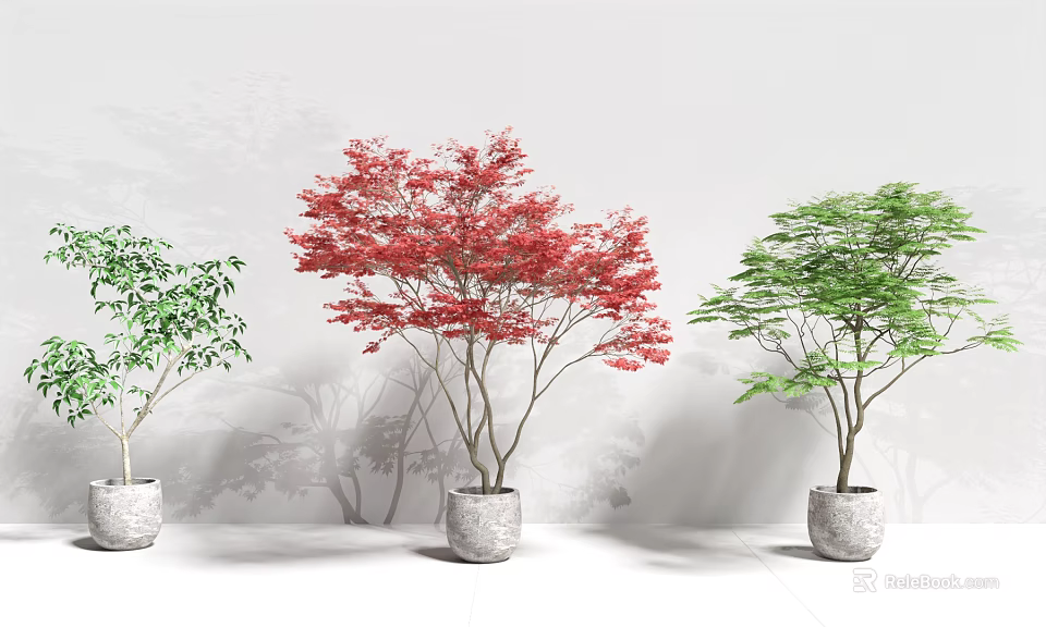 Three Bonsai Plants with Red Green Leaves in White Pots for Interior Decor 3d model 
