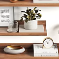 Elegant Wooden Shelf Decorative Ornament Collection with Vases Candles Green Plant Clock and White Flowers