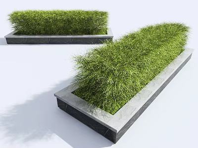 Lush Green Bushes Planted in Rectangular Concrete Planters for Outdoor Landscaping 3d model