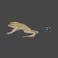 Green Frog With Stretched Legs And Colorful Rubik's Cube On Gray Background