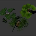 Indoor Green Plants With Various Decorative Pots And Lush Foliage