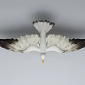 Flying Seagull with Wings Spread Yellow Beak and Orange Feet Against Gray Background