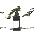 Decorative Bonsai Plants with Various Styles Different Shapes Colorful Foliage on Wooden Stands