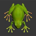 Green Tree Frog With Black Stripe Large Eyes And Suckers On Dark Surface