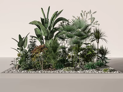 Lush Tropical Plants Arrangement With Banana Leaves Palm Trees And Small Greenery 3d model