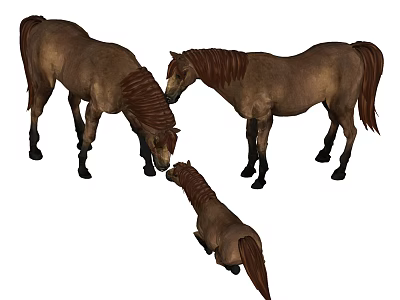 Three Reptiles of Different Sizes Interacting in Natural Habitat Setting 3d model