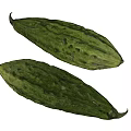 Fresh Green Bitter Melon With Textured Surface And Elongated Shape