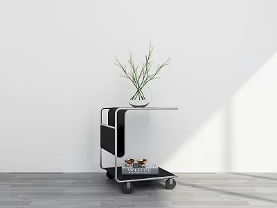 Minimalist Black And White Cart With Glass Vase Green Plants And Books On Gray Floor 3d model