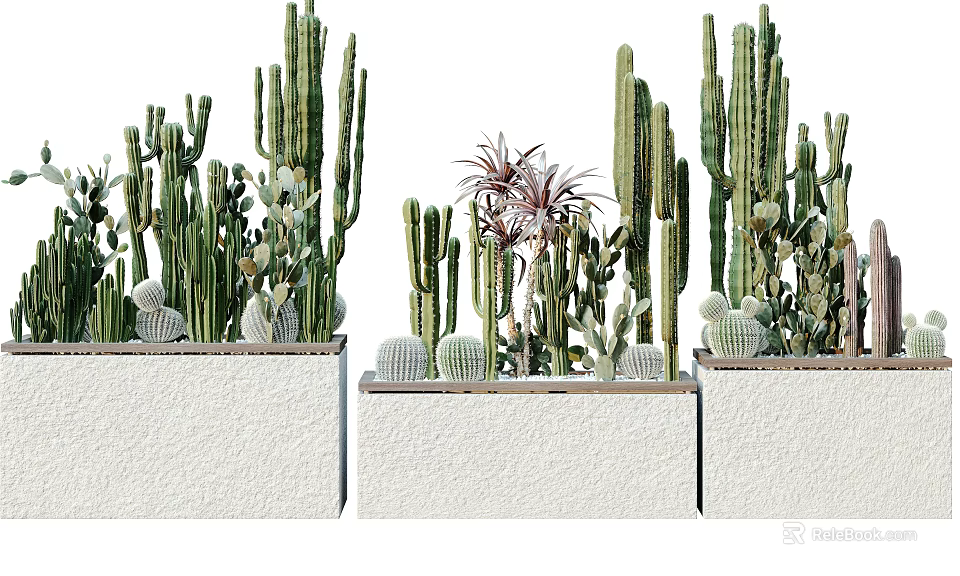 Potted Cactus and Succulent Plants in White Planters Featuring Tall and Small Varieties 3d model 