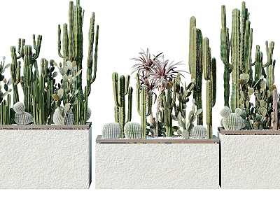 Modern Plant Potted Plant Potted Plant Green Plant Flowers Trees Plants Wall Cactus 3d model